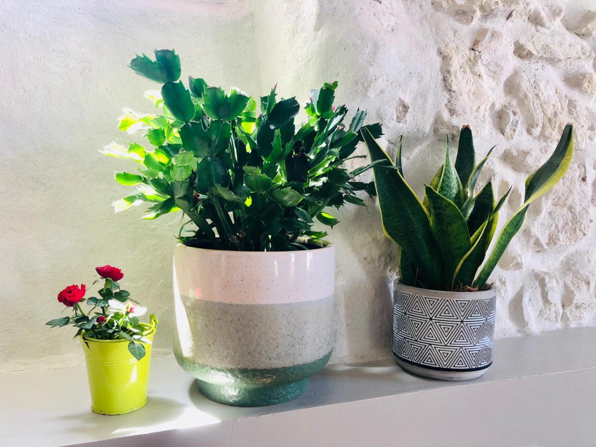 Joli Duplex Avec Terrasse Lejlighed Marseille Eksteriør billede